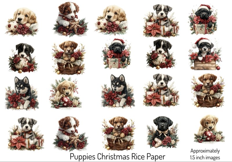 Christmas Puppies — adorable puppies in Christmas settings