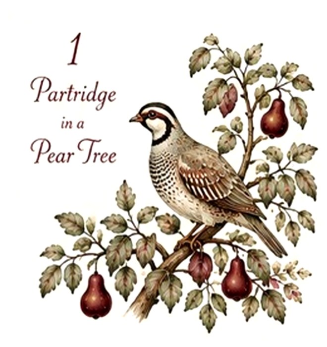 12 Days of Christmas Burgundy #1