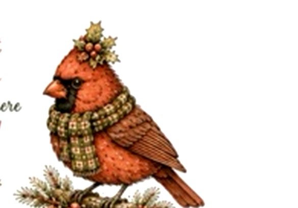 Cardinals with Sayings #4