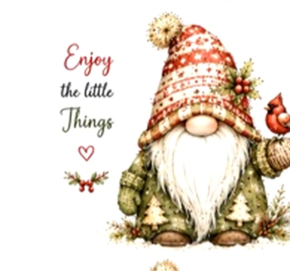 Christmas Gnomes #5