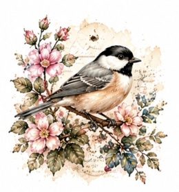 Songbirds #1